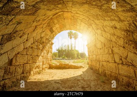 l'entrée aux ruines remarquablement préservées du stade dans l'ancienne ville de Perge, en Turquie, accueillait autrefois des milliers de spectateurs qui se rassemblaient Banque D'Images