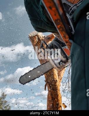 Arboriste coupe le tronc d'un arbre d'urgence avec une tronçonneuse. La sciure de bois s'envole de la tronçonneuse. L'alpiniste travaille. Banque D'Images