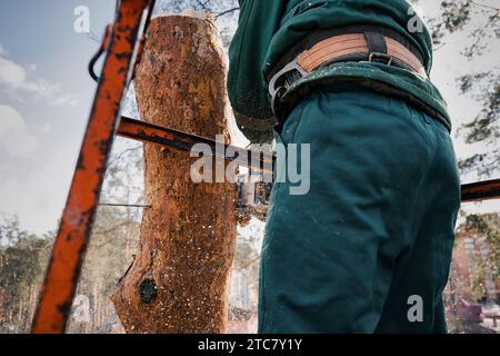 Vue à angle bas de l'arboriste coupe le tronc d'un arbre d'urgence avec une tronçonneuse. Banque D'Images