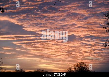 Un horizon spectaculaire, un paysage nuageux, vif, un horizon à l'aube, un horizon au crépuscule Banque D'Images