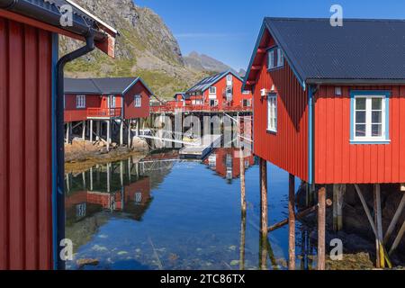 Vue des maisons de pêche traditionnelles de rorbu rouge sur pilotis le long des rivages rocheux des îles Lofoten en Norvège, capturées par une journée d'été ensoleillée sous un Banque D'Images