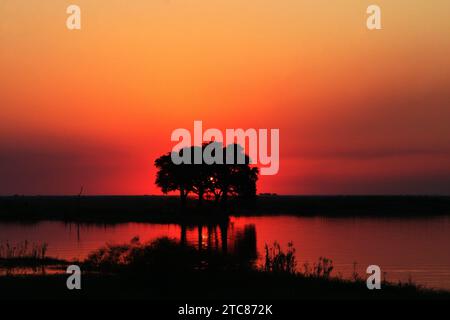 Delta de l'Okavango le coucher du soleil Banque D'Images