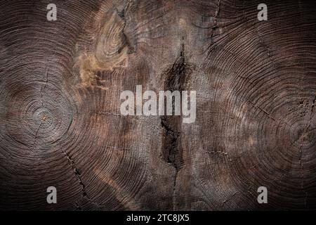 Section transversale de tronc d'arbre double texture de bois vintage Banque D'Images