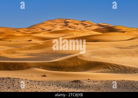 Dunes de sable balayées par le vent de l'Erg Chebbi dans le désert du Sahara près de Merzouga, Drâa-Tafilalet, Errachidia, Maroc Banque D'Images