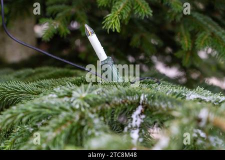 Langweid, Bavière, Allemagne - 30 novembre 2023 : éclairage électrique d'arbre de Noël sur un arbre de Noël extérieur *** Eine Elektrische Christbaumbeleuchtung an einem Weihnachtsbaum im Freien crédit : Imago/Alamy Live News Banque D'Images