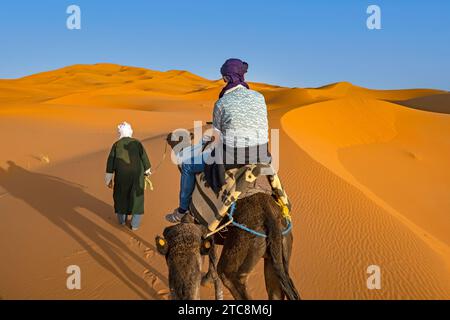 Chameau dromadaire dromadaire d'équitation et de tourisme occidental dans la dune de sable de l'Erg Chebbi, désert du Sahara près de Merzouga, Drâa-Tafilalet, Errachidia, Maroc Banque D'Images