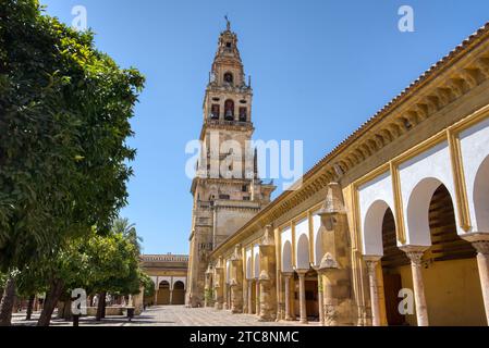 Extérieur de la cathédrale Mezquita, qui faisait à l'origine partie de la Grande Mosquée de Cordoue Banque D'Images