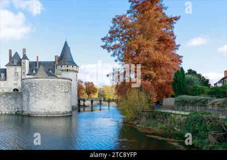 Grand arbre coloré en automne à côté d'un fossé de château avec une passerelle à travers en vue Banque D'Images