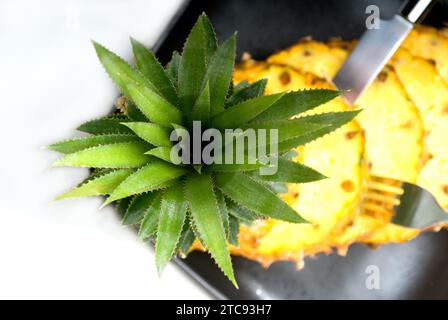 Ananas vibrant mûr tranché sur une assiette noire avec couteau et fourchette Banque D'Images