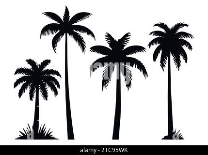 Ensemble de silhouette de palmier. Plantes tropicales de jungle noire. Vecteur sur fond blanc Illustration de Vecteur
