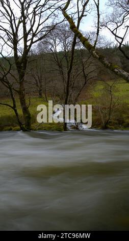 Afon Dulas (rivière Dulas) dans la frange, Corris Gwynedd Banque D'Images