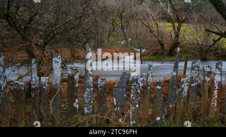 Afon Dulas (rivière Dulas) dans la frange, Corris Gwynedd Banque D'Images