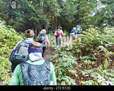 Groupe de touristes sur le trekking dans la forêt de montagne Banque D'Images
