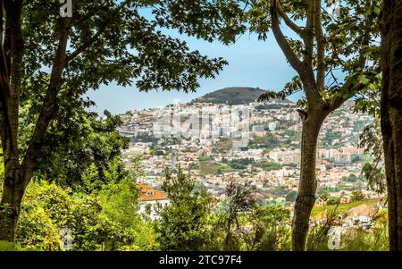 Une vue panoramique depuis le jardin tropical Monte Palace sur la ville de Funchal Madère Banque D'Images