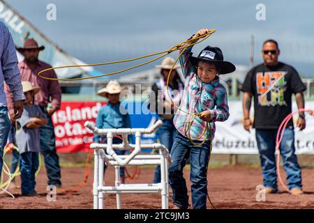 Factice Roping, 2020 Pana'Ewa Stampede Rodeo Banque D'Images