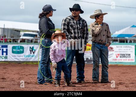 Factice Roping, 2020 Pana'Ewa Stampede Rodeo Banque D'Images