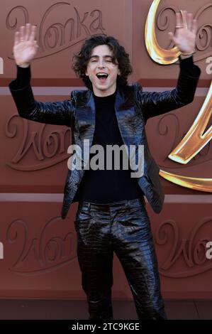 Timothee Chalamet BEI der Premiere des Kinofilms 'Wonka' im Regency Village Theatre. Los Angeles, 10.12.2023 Banque D'Images