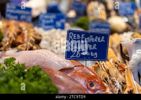 poisson vivaneau empereur rouge avec persil et glace sur un comptoir à vendre Banque D'Images