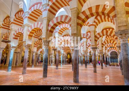 Intérieur de la cathédrale de la Mezquita, à l'origine la salle de prière de la Grande Mosquée de Cordoue Banque D'Images