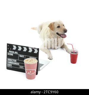 Chien Labrador mignon avec seau de pop-corn, tasse de soda et clapperboard couché sur fond blanc Banque D'Images