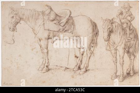 Deux études d'un cheval sellé et d'un cheval à cheval à cheval à cheval ; verso : étude d'une plante de haricot 2008 par Jacques de Gheyn II Banque D'Images