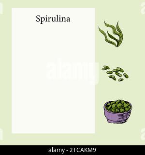 Bannière modèle spiruline ou affiche en couleur. Illustration vectorielle peut être utilisée pour la page de recette de cuisine, bannière de santé médicale, affiche d'aliments écologiques. Croquis dessiné à la main spiruline algue dans un style vintage. Illustration de Vecteur