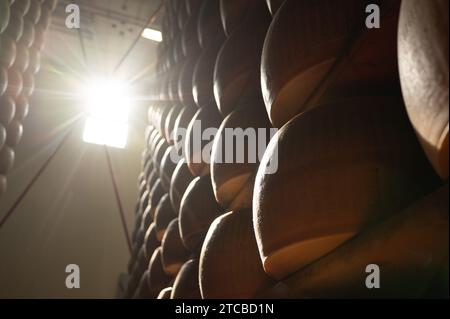 Modène, Italie. 13 octobre 2023. Les meules à fromage parmesan reposent côte à côte sur des planches de bois dans le magasin d'affinage de la fromagerie Madonne Caseificio dell'Emilia 4. Crédit : Sebastian Kahnert/dpa/Alamy Live News Banque D'Images