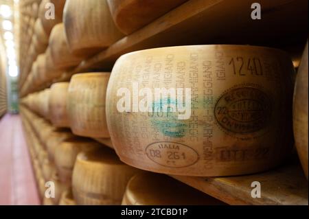 Modène, Italie. 13 octobre 2023. Les meules à fromage parmesan reposent côte à côte sur des planches de bois dans le magasin d'affinage de la fromagerie Madonne Caseificio dell'Emilia 4. Crédit : Sebastian Kahnert/dpa/Alamy Live News Banque D'Images