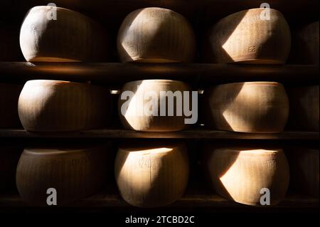 Modène, Italie. 13 octobre 2023. Les meules à fromage parmesan reposent côte à côte sur des planches de bois dans le magasin d'affinage de la fromagerie Madonne Caseificio dell'Emilia 4. Crédit : Sebastian Kahnert/dpa/Alamy Live News Banque D'Images