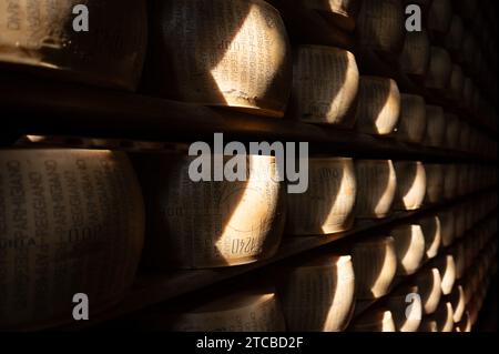 Modène, Italie. 13 octobre 2023. Les meules à fromage parmesan reposent côte à côte sur des planches de bois dans le magasin d'affinage de la fromagerie Madonne Caseificio dell'Emilia 4. Crédit : Sebastian Kahnert/dpa/Alamy Live News Banque D'Images