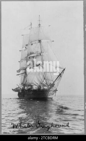 Whaler GRAYHOUND (avec arc dans le foregrd.) Banque D'Images
