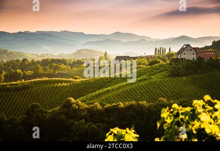 Vue du fameux vin street dans le sud de la Styrie, Autriche sur la toscane comme vineyard hills. Destination touristique Banque D'Images