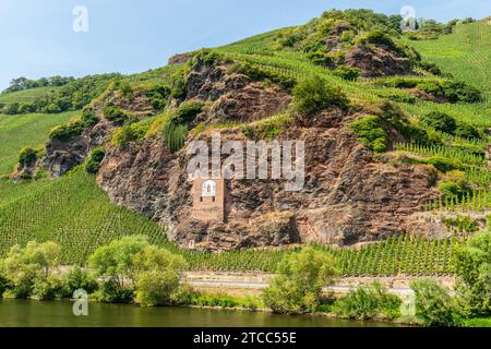 Moselle près de Zeltingen-Rachtig et la montagne avec ses vignobles, Ardoise Roches et cadran solaire Banque D'Images