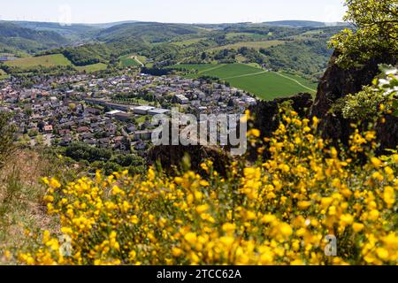 Vue en grand angle depuis les Rotenfels de Bad Muenster am Stein Ebernburg avec arbuste à fleurs jaunes Banque D'Images