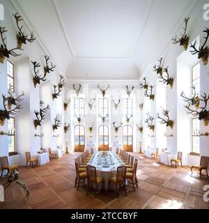 Salle à manger du Palais baroque Moritzburg Banque D'Images