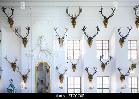 Salle à manger du Palais baroque Moritzburg Banque D'Images