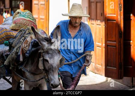 Marrakech, Maroc : Homme marocain menant un âne dans une rue à l'intérieur de la médina de Marrakech. Banque D'Images