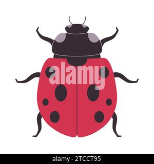 couleur rouge et noir sept coccinelles tachetées nature sauvage petit insecte coléoptère omnivores animal Illustration de Vecteur