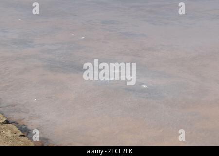 Gros plan de l'eau salée dans les salines de la Saline di Trapani à Culcasi, Sicile Banque D'Images