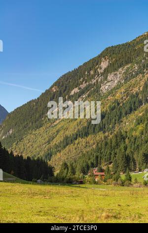 Hameau rural avec fermes alpines, communauté Brandberg, vallée de Zillergrund, Zillertal Alpes, Tyrol, Autriche Banque D'Images