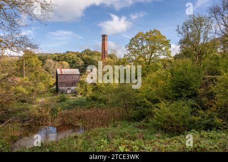 Stott Park Bobbin Mill, Finsthwaite, Lake District montrant son cadre boisé Banque D'Images