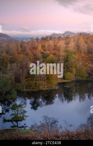 Vue sur les Langdale Pikes depuis le Scott Memorial au-dessus de Tarn Hows au lever du soleil en automne Banque D'Images