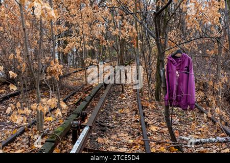 Berlin, Allemagne. La ligne de S-Bahn Siemensstadt abandonnée des années 1980 à travers la partie ouest de la ville a depuis été envahie par la végétation. Près de 40 ans ont causé une énorme décomposition. Aujourd'hui, la Deutsche Bahn, la société ferroviaire allemande, prévoit de rénover la voie ferrée et les gares. Pendant ce temps, les sans-abri occupent les pistes et les stations pour vivre et dormir. Banque D'Images