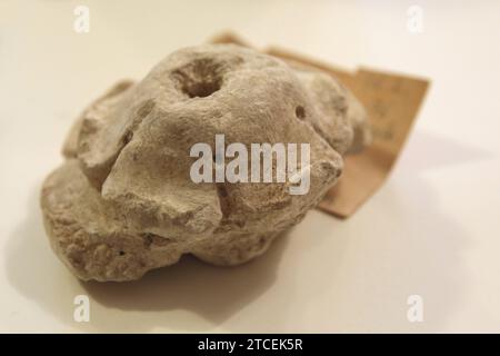 Blick am Dienstag 12.12.2023 in der Barlachstadt Güstrow Landkreis Rostock BEI einem Pressetermin auf eine Rosette wie sie seinerzeit am örtlichen Schloss verbaut wurde. DAS Renaissance-ensemble wird derzeit saniert. Dabei wurden u.a. auch besondere Steine freigelegt. Die Arbeiten sollen bis auf die Schlossbrücke, die erst 2025 fertig sein wird, bis zum Jahr 2024 abgeschlossen sein. Nun wurde im Verlauf des Tages ein Zwischenstand der Sanierungsarbeiten vorgestellt. Diese werden durch die eu gefördert werden. Denn das Güstrower Schloss gilt wegen seiner Vielfalt in der Gestaltung als etwas BES Banque D'Images