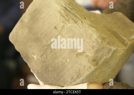 Blick am Dienstag 12.12.2023 in der Barlachstadt Güstrow Landkreis Rostock BEI einem Pressetermin auf einen Sandstein mit Zunftzeichen wie er seinerzeit am örtlichen Schloss verbaut wurde. DAS Renaissance-ensemble wird derzeit saniert. Dabei wurden u.a. auch besondere Steine freigelegt. Die Arbeiten sollen bis auf die Schlossbrücke, die erst 2025 fertig sein wird, bis zum Jahr 2024 abgeschlossen sein. Nun wurde im Verlauf des Tages ein Zwischenstand der Sanierungsarbeiten vorgestellt. Diese werden durch die eu gefördert werden. Denn das Güstrower Schloss Gilt wegen seiner Vielfalt in der Gesta Banque D'Images