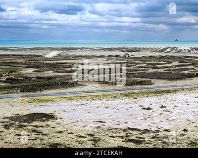 Ferme ostréicole à marée basse à Cancale, commune du département d'Ille-et-Vilaine en Bretagne dans le nord-ouest de la France. Nous voyons le célèbre Mont Saint Michel Banque D'Images