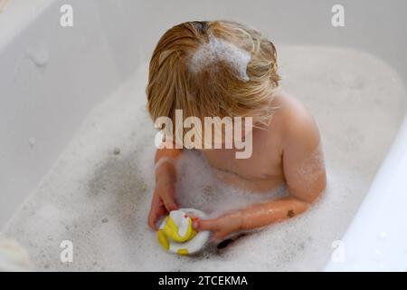 Ein kleiner Junge mit Badeschaum in den Haaren sitzt in einer Badewanne und spielt mit einem Badetierchen, Fribourg. *** Un petit garçon avec de la mousse de bain dans les cheveux est assis dans une baignoire et joue avec un jouet de bain, Fribourg Banque D'Images