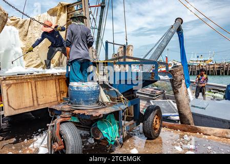 Village de pêcheurs de Samaesan, Thaïlande, le 1 septembre 2023 : les travailleurs remplissent de la glace pilée dans un entrepôt de glace d'un bateau de pêche avant de quitter le port Banque D'Images