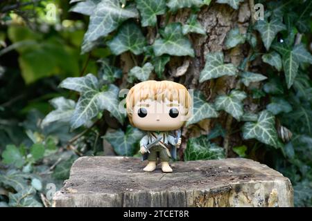 Funko Pop figurine d'action de hobbit Sam avec épée et lumière de phial du film fantastique le Seigneur des anneaux. Forêt, feuilles de lierre vertes, bois magique. Banque D'Images