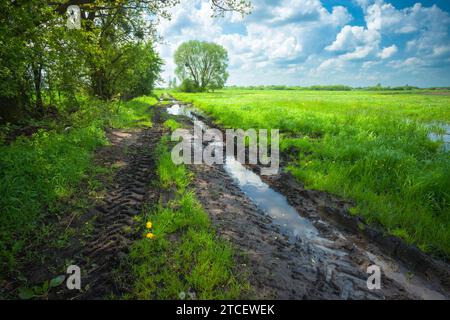Une flaque d'eau sur le chemin de terre près d'une prairie verte avec des arbres et des nuages dans le ciel, le jour de mai dans l'est de la Pologne Banque D'Images